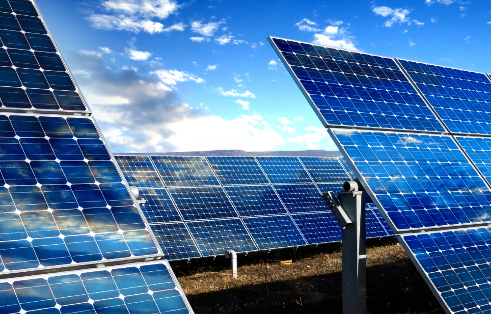 Sustainability Disclosure Guidance