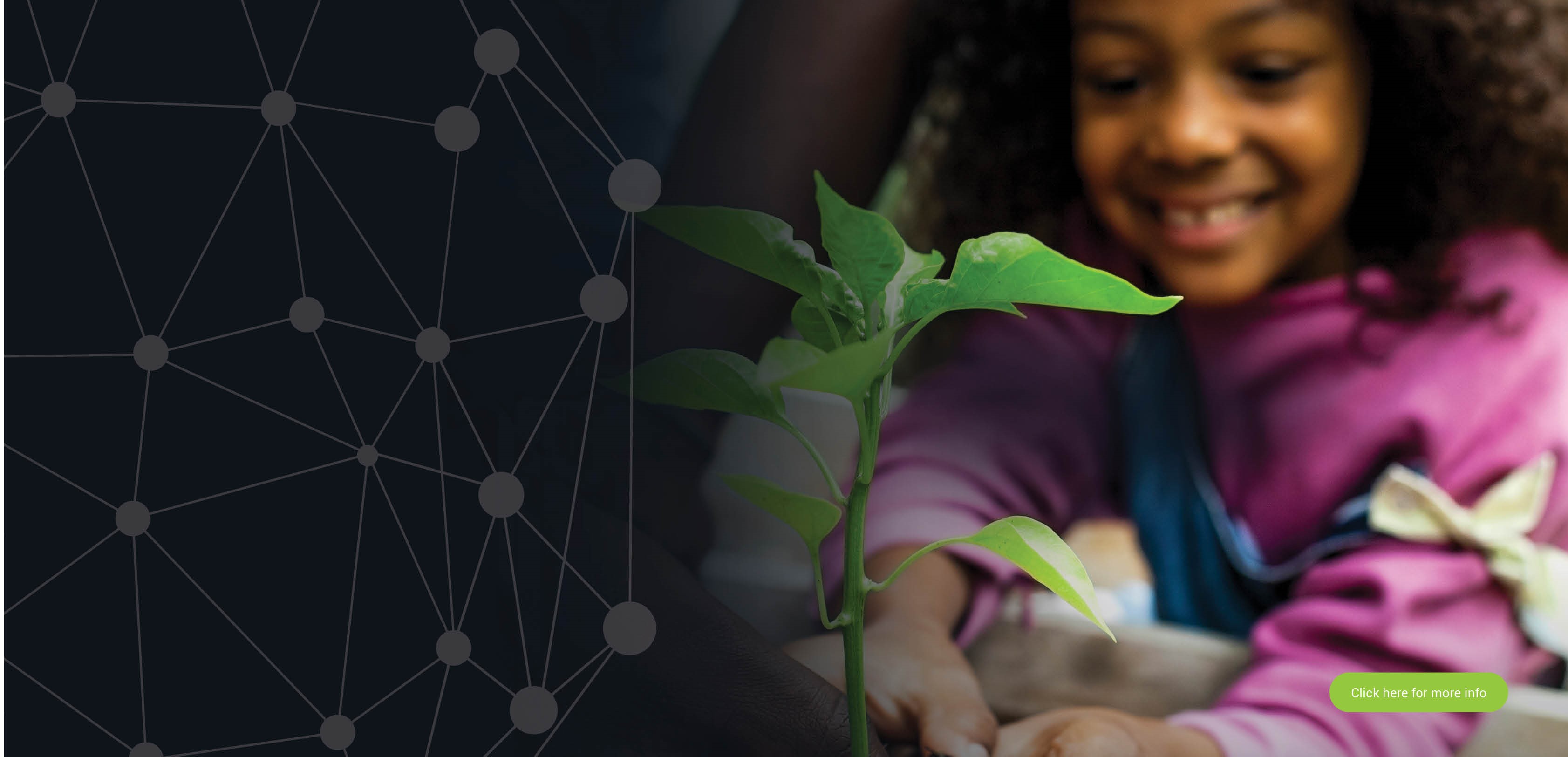 Sustainability and climate disclosure cost-benefit analysis