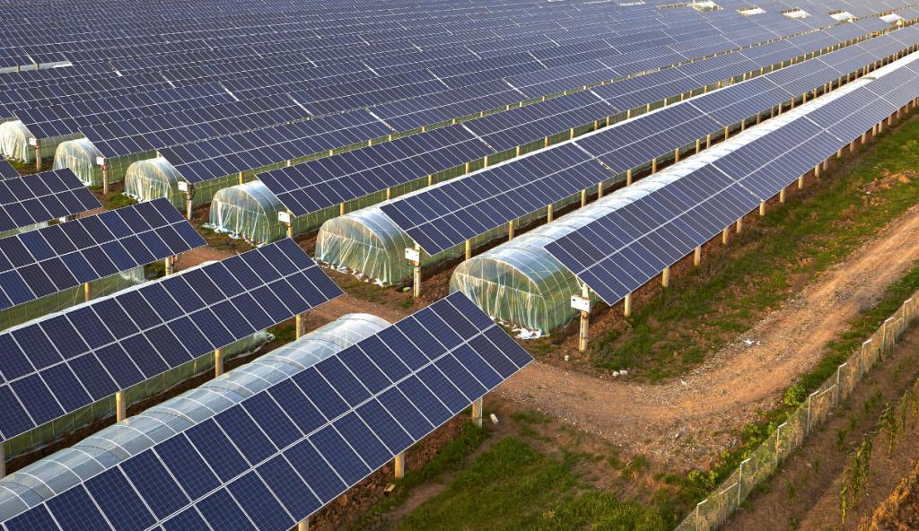 Sustainability - Sustainable Bonds