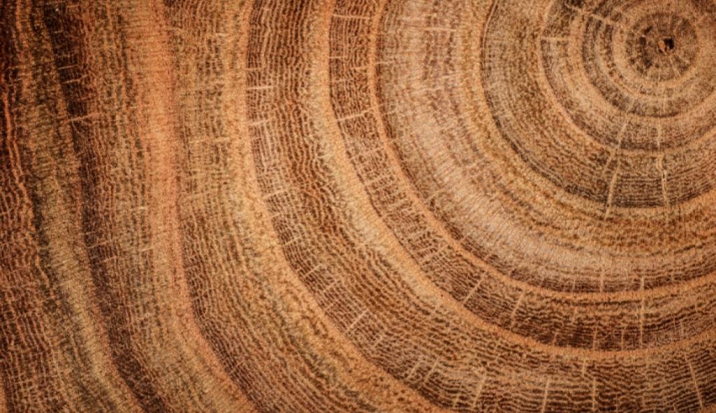 jse-history-07-1937-01