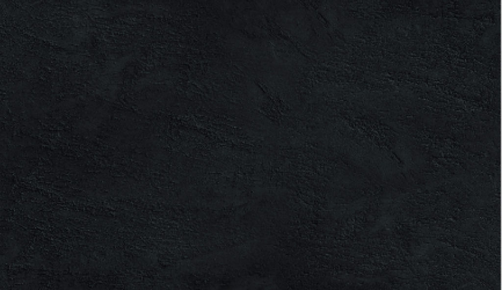 jse-history-22-2022-02