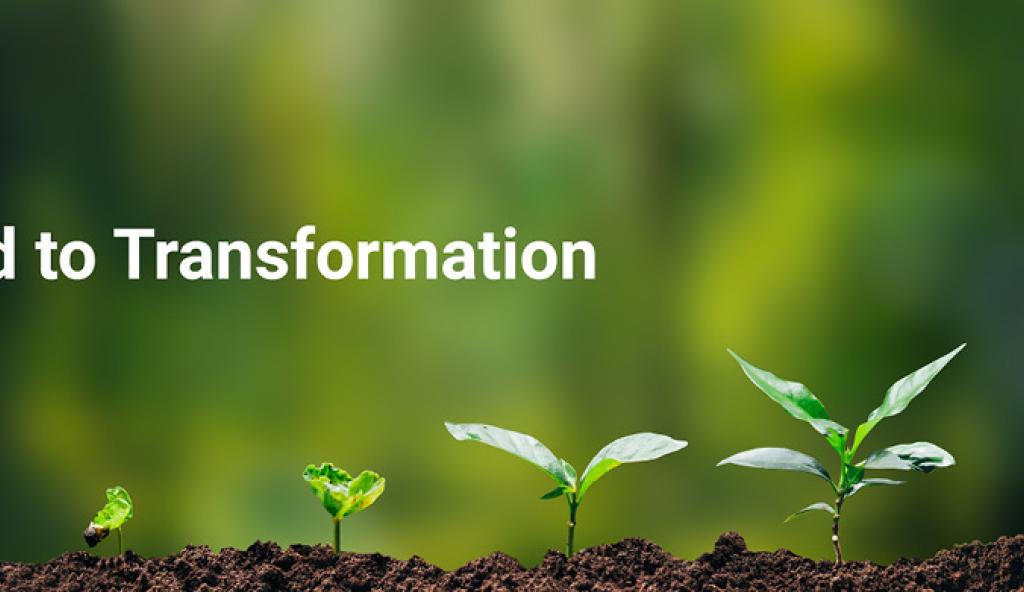 United nations global compact 1140 390