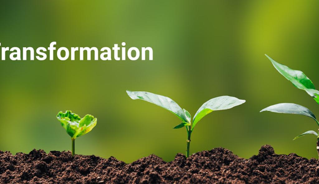 United nations global compact 1410 390