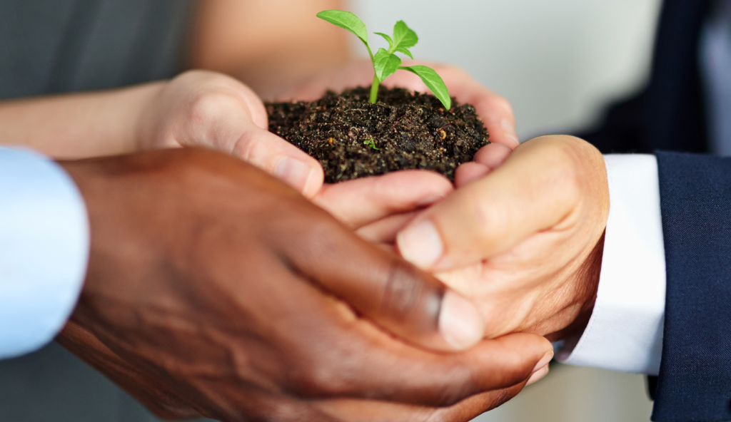 environmental policies