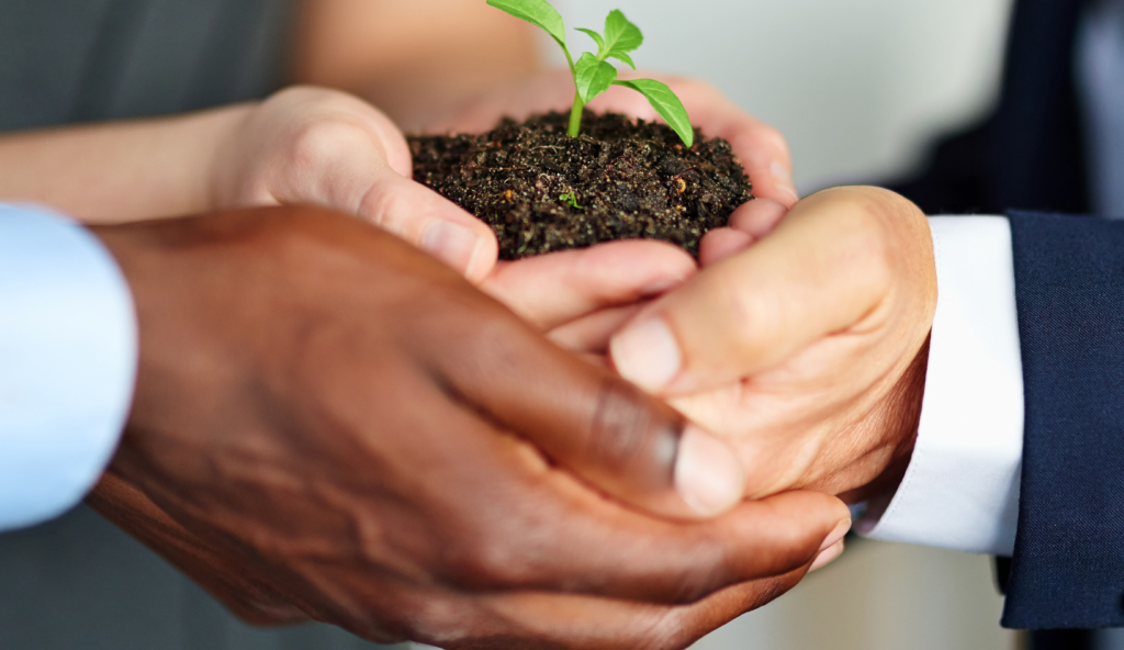 environmental policies