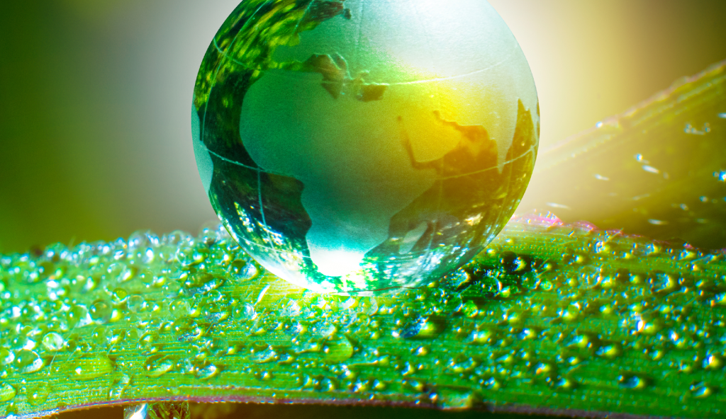 JSE Sustainability Disclosure Guidance