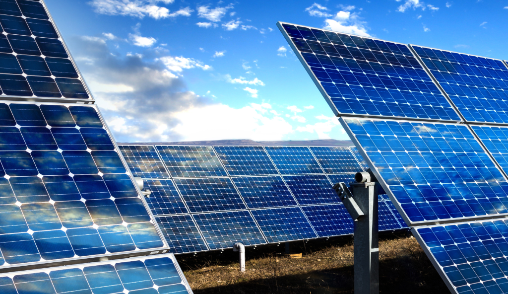 Sustainability Disclosure Guidance